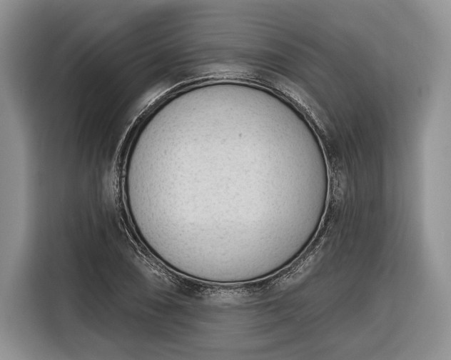 X0000116381074200912091410