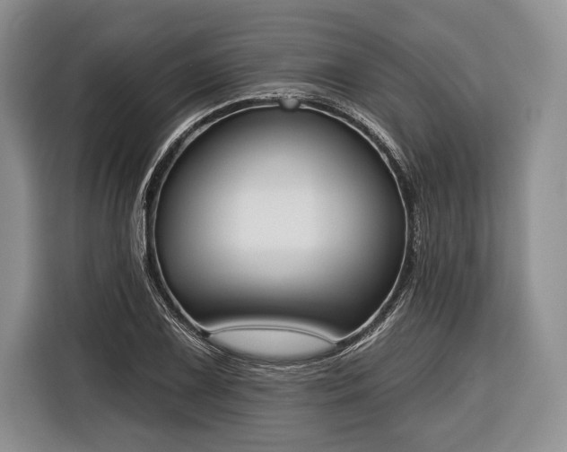 X0000116381075200912091410
