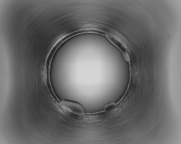 X0000116381076200912091410