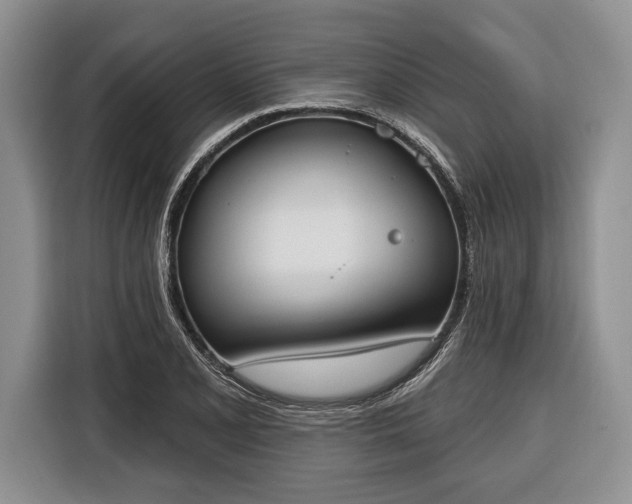 X0000116381077200912091410