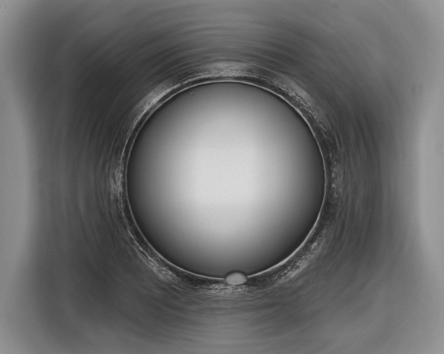 X0000116381081200912091410