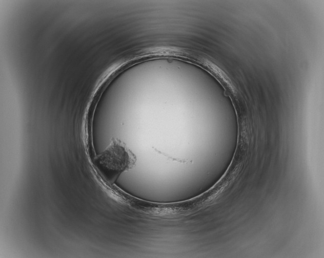 X0000116381082200912091410