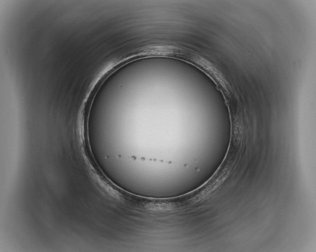 X0000116381083200912091410