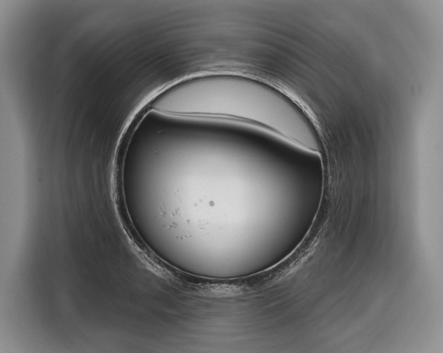X0000116381085200912091410