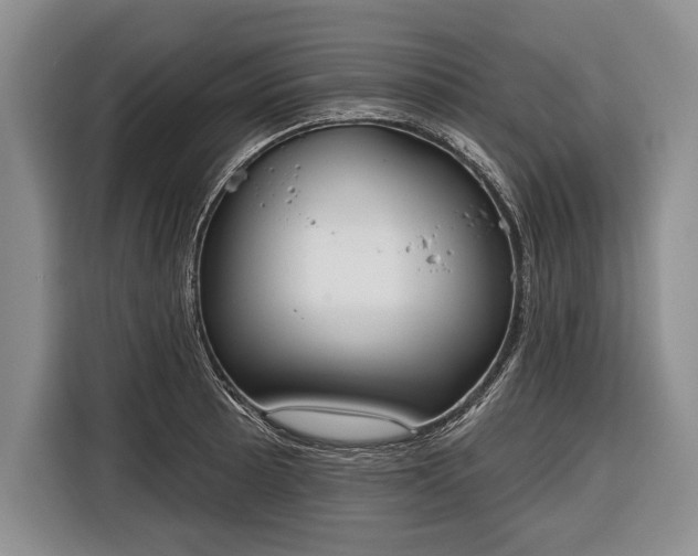 X0000116381089200912091410