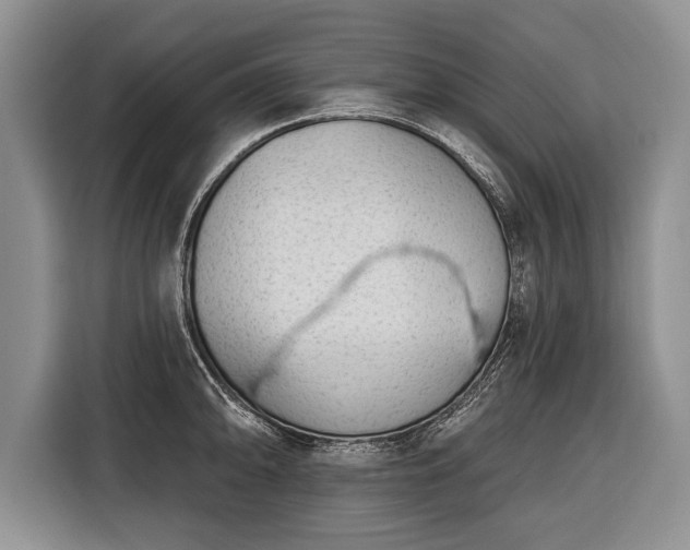 X0000116381094200912091409