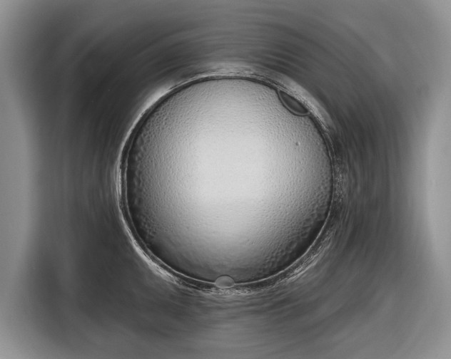 X0000116381095200912091409