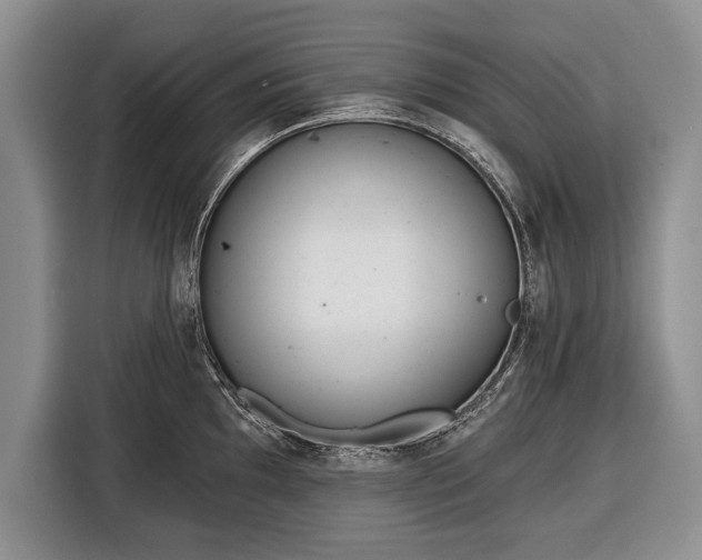 X0000116381097200912091409