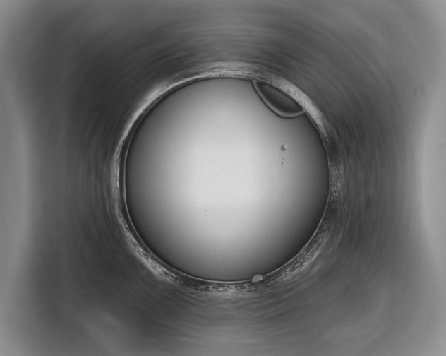 X0000116381099200912091409