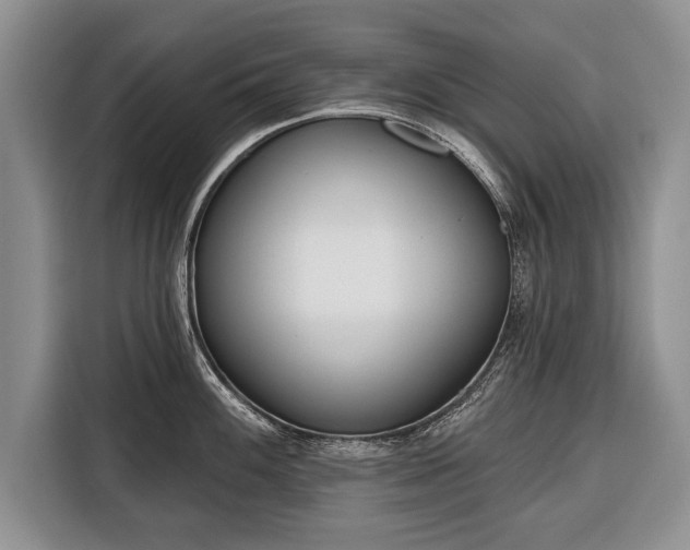 X0000116381100200912091409