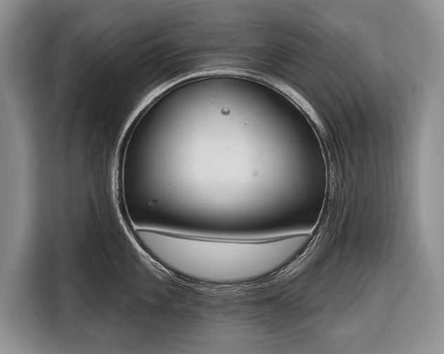 X0000116381101200912091409