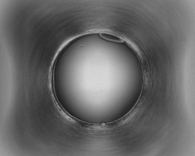 X0000116381102200912091409