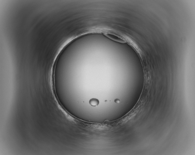 X0000116381103200912091409