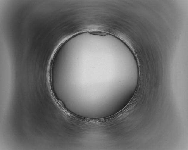 X0000116381104200912091409