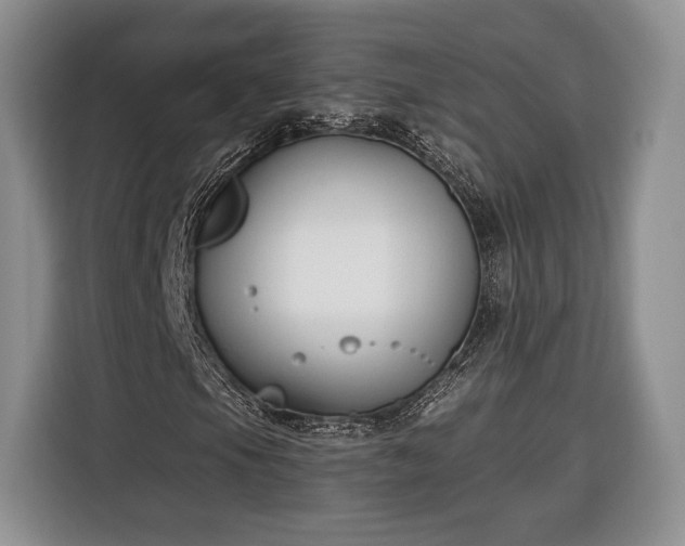 X0000116381105200912091409