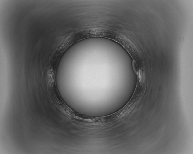 X0000116381107200912091409