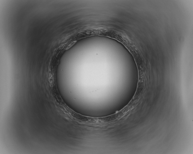 X0000116381109200912091409