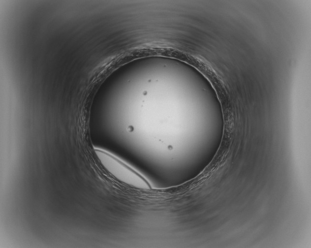 X0000116381110200912091409