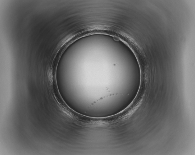 X0000116381113200912091409