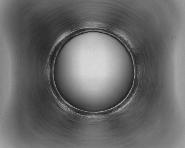 X0000116381114200912091409