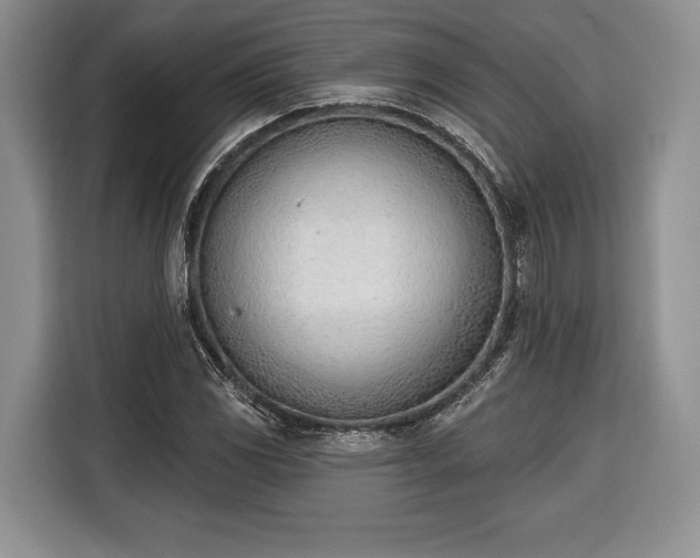 X0000116381117200912091409
