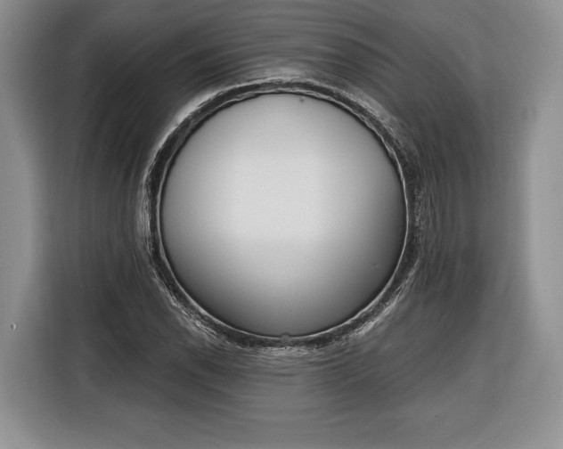 X0000116381118200912091409
