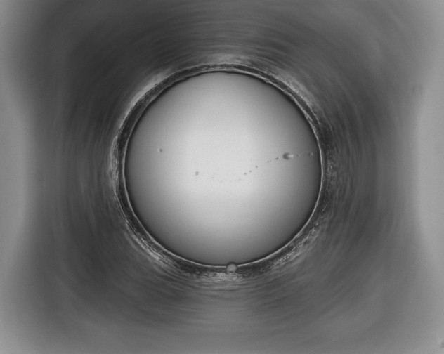 X0000116381119200912091409