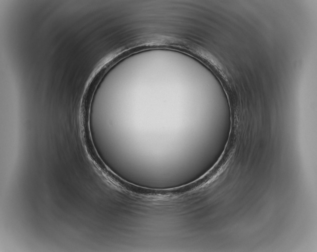 X0000116381122200912091409
