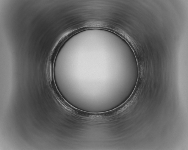 X0000116381123200912091409