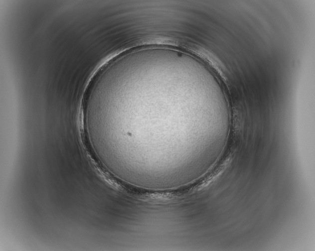 X0000116381125200912091409