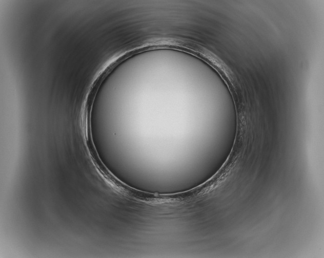 X0000116381127200912091409