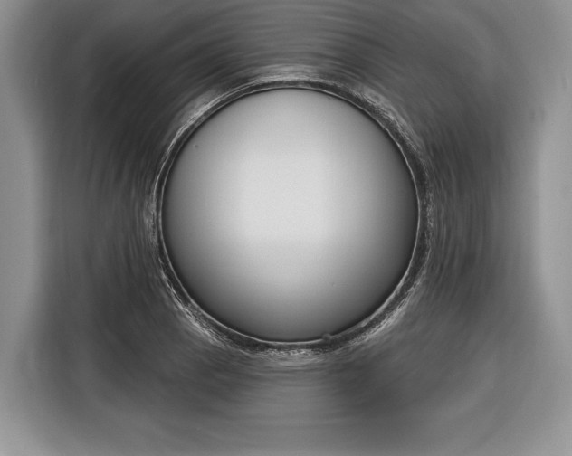 X0000116381129200912091409
