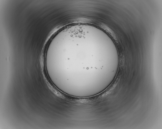 X0000116381130200912091409