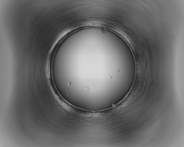 X0000116381131200912091409
