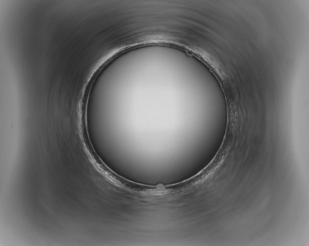 X0000116381134200912091409