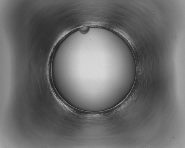 X0000116381135200912091409