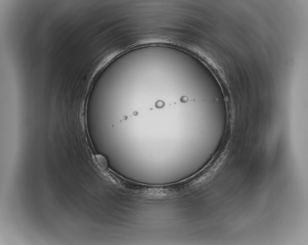 X0000116381137200912091409