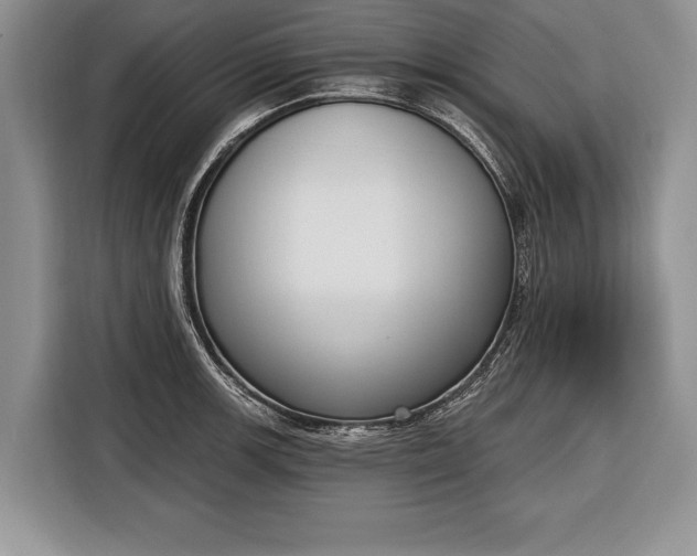 X0000116381139200912091409