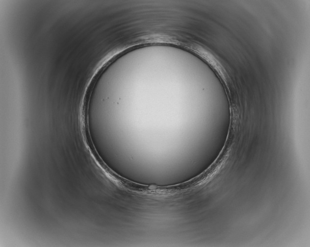 X0000116381141200912091409