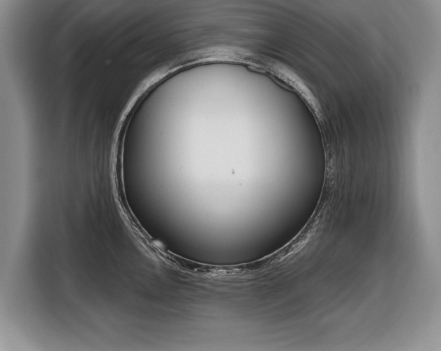 X0000116381146200912091409