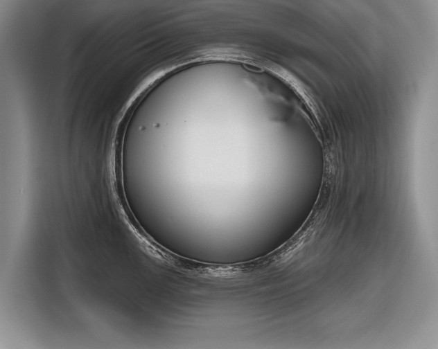 X0000116381147200912091409