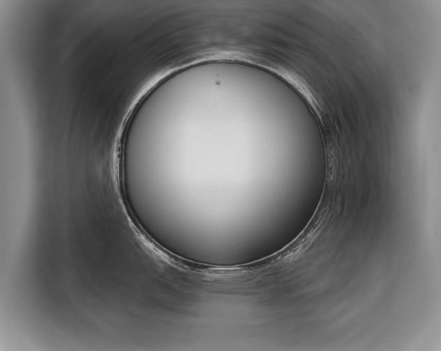 X0000116381151200912091409