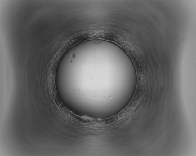 X0000116381153200912091409