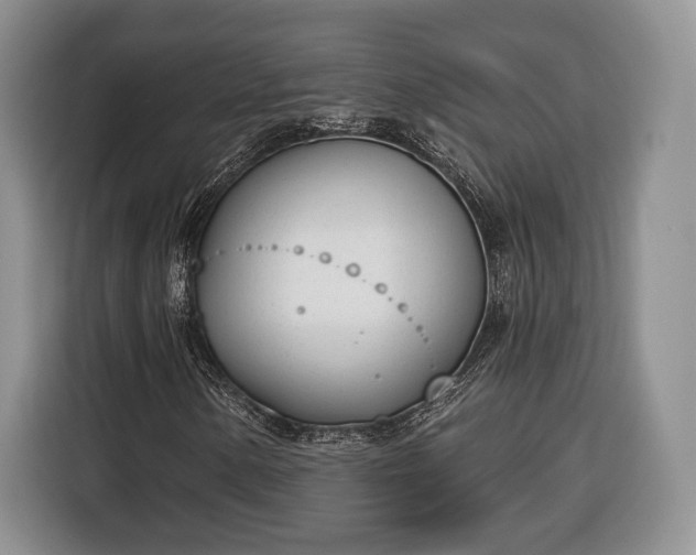 X0000116381154200912091409