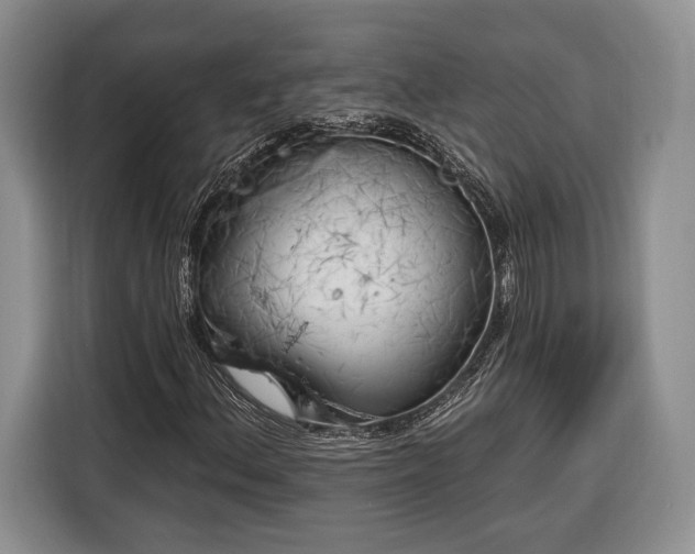 X0000116381156200912091409