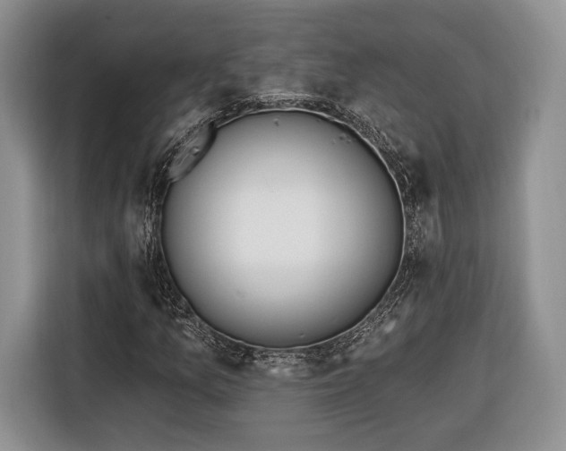 X0000116381157200912091409