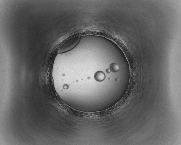 X0000116381159200912091409