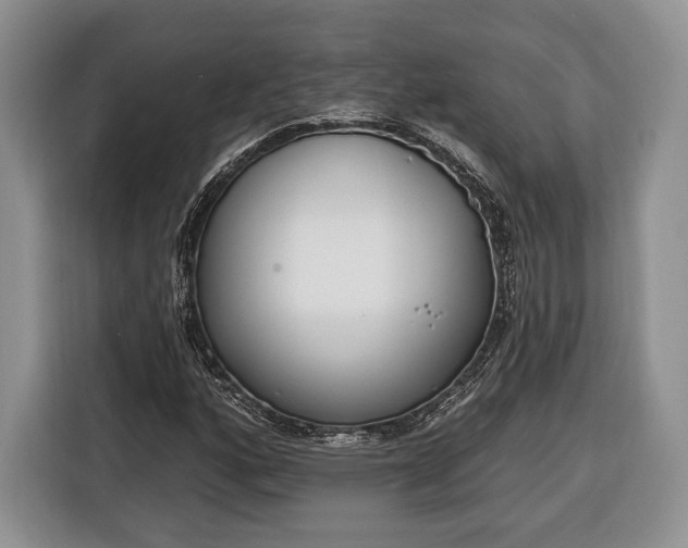 X0000116381160200912091409