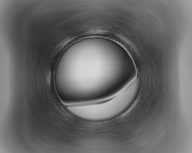 X0000116381161200912091409