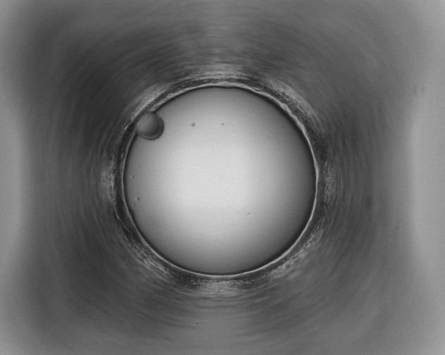 X0000116381162200912091409